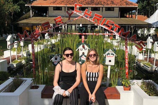 Penang Dawn & Dusk Street Food - Who Should Consider This Tour?