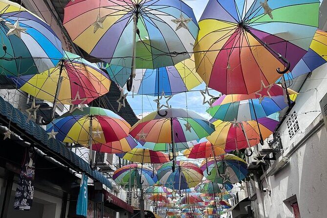 Penang Exciting Local Full Day Private Tour 8 Hours - Key Points