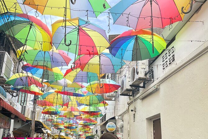 Penang Private Tour with Hill, Temple and Heritage Experience - Who is This Tour Best For?