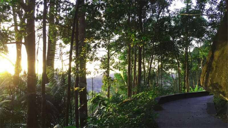 Penang: The Habitat Penang Hill Entry Ticket - An Overview of What to Expect