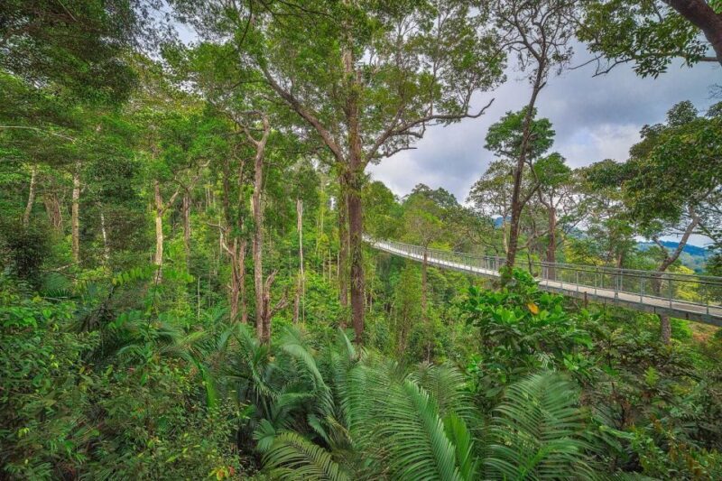 Penang: The Habitat Penang Hill Entry Ticket - The Wildlife and Nature Encounters