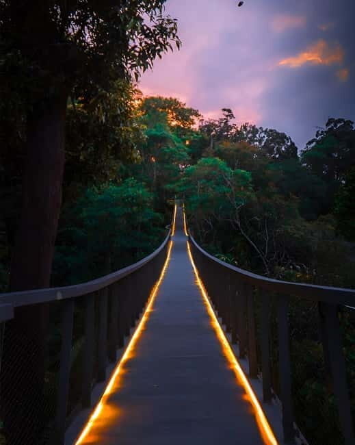 Penang: The Habitat Penang Hill Entry Ticket - Practical Details: Price, Value, and Tips