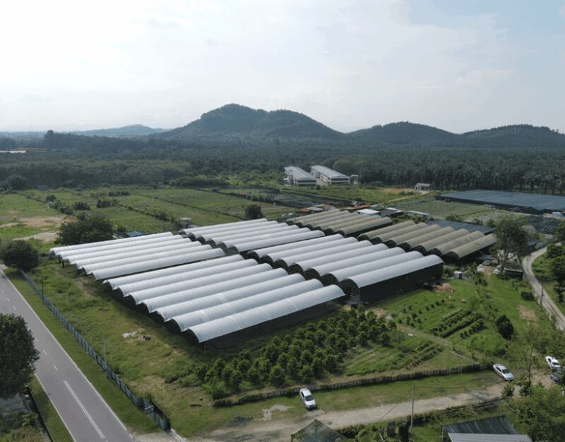 Penang: The Vanilla Village Farm Tour by Kairos - Why You Should Consider This Tour