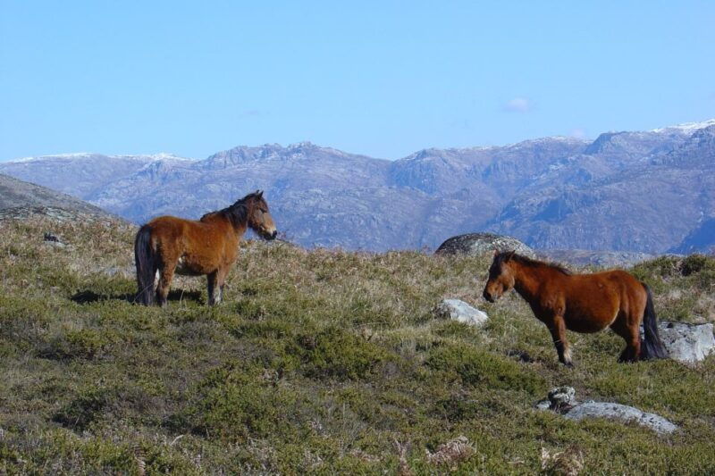 peneda-geres-full-day-premium-tour