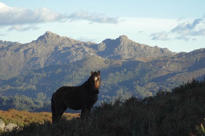 peneda-geres-national-park-a-time-travel-through-the-mountains