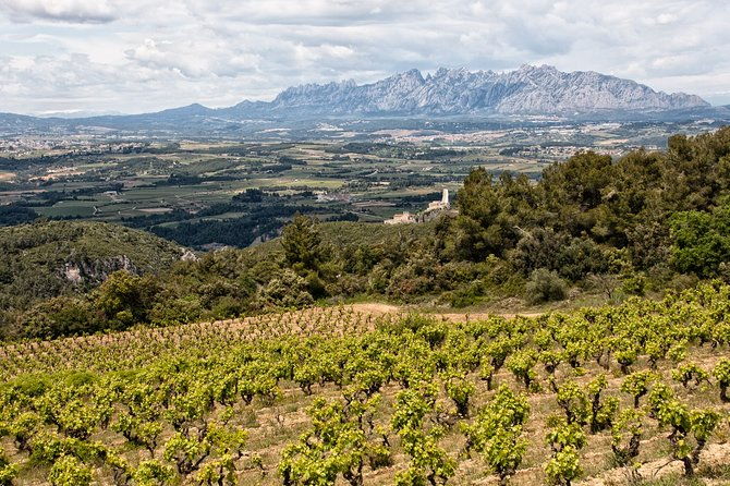 penedes-and-cava-winery-small-group-tour