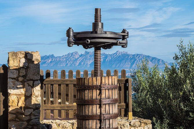 penedes-and-cava-winery-small-group-tour