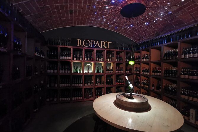 penedes-and-cava-winery-small-group-tour