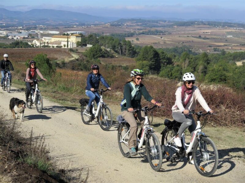 penedes-bcn-self-guided-ebike-tour-with-guided-winery-visit