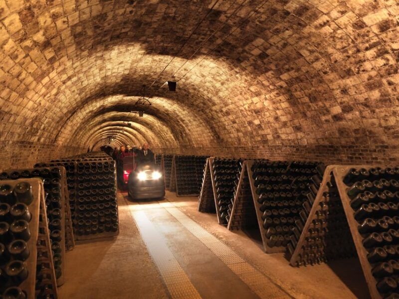 penedes-discovery-tour-with-cava-tasting