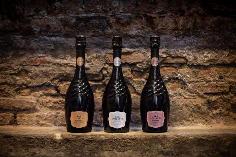penedes-discovery-tour-with-cava-tasting