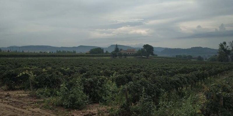 penedes-private-wine-and-cava-tasting-tour