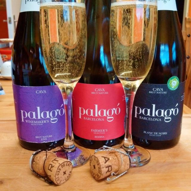 penedes-vine-to-wine-personalized-cava-tastecraft-workshop