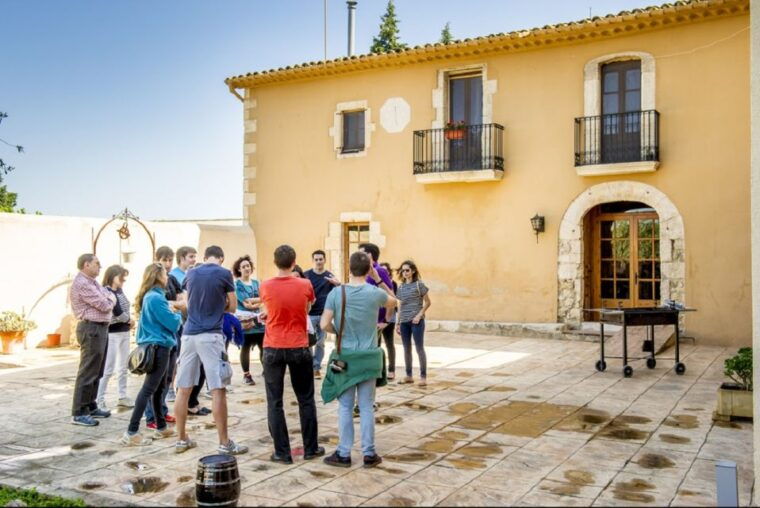penedes-vine-to-wine-personalized-cava-tastecraft-workshop