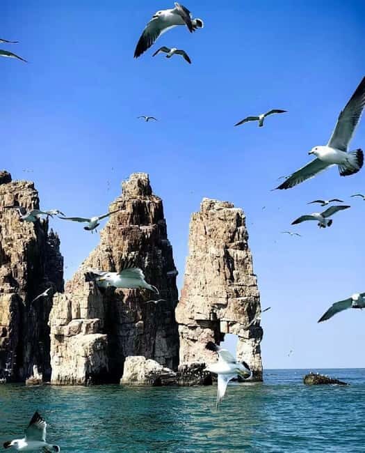 Penglai: Changdao Island Tour - Who Should Consider This Tour?
