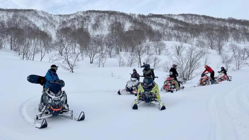 Penguin Fun & Snowmobile : Sapporo Winter (Asahiyama Zoo) - Final Thoughts: Who Is This Experience Best For?