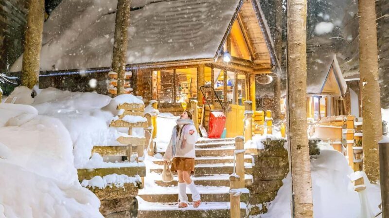 Penguin Fun & Snowmobile : Sapporo Winter (Asahiyama Zoo) - A Detailed Look at the Tour