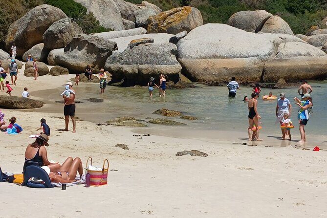 Penguin Watching & Beach Day at Boulder's Beach, Cape Town - The Value of This Tour