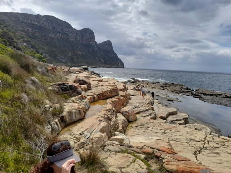 Penguins at Boulders and Cape Point experience - Who Is This Tour Best For?  