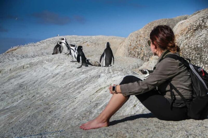 Penguins at Boulders and Cape Point experience - FAQs  