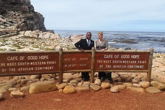 Penguins Viewing, Cape of Goodhope and Winelands Region - Authentic Insights from Past Travelers