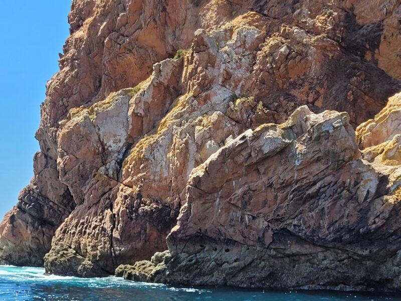 peniche-berlengas-island-round-trip-ferry-with-island-stop