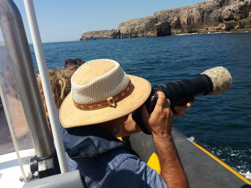 peniche-dolphin-route-boat-trip