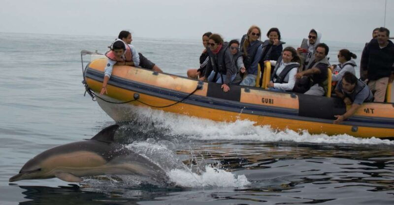 peniche-dolphin-route-boat-trip