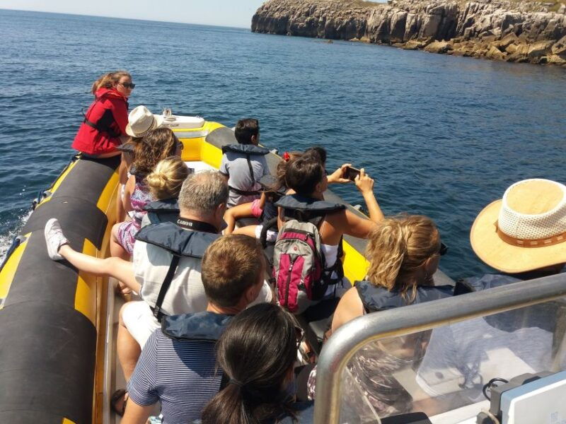 peniche-dolphin-route-boat-trip
