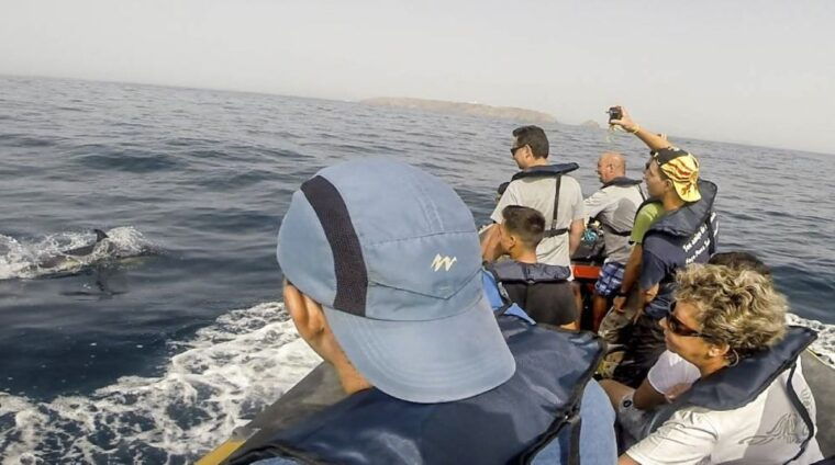peniche-dolphin-route-boat-trip