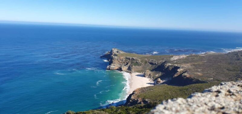 Peninsula Tour - An Impressive Introduction to Cape’s Most Famous Sights