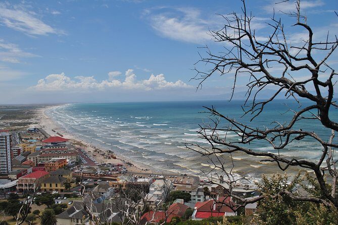 Peninsula Tour - Why This Tour Offers Excellent Value