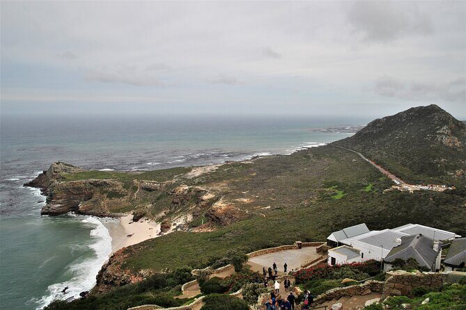 Peninsula Tour - Who Is This Tour Best Suited For?