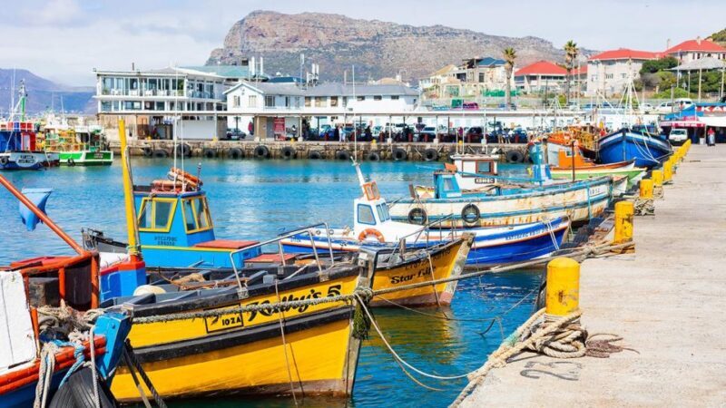 Peninsula Tour: Full Day Cape Point and Penguin Beach - The Sum Up