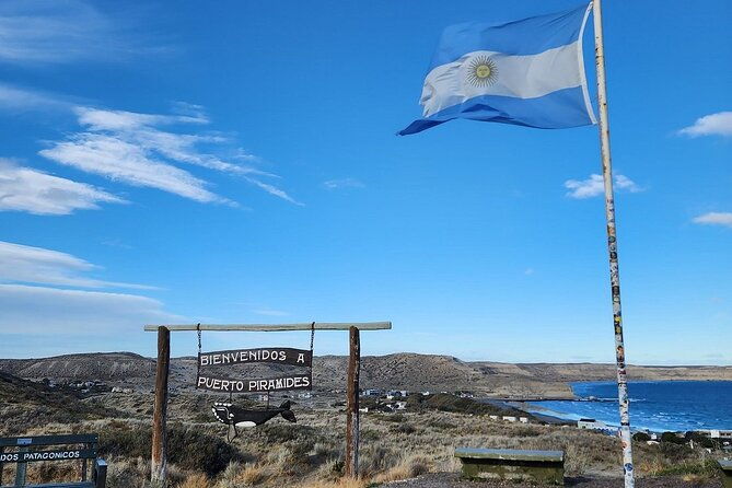 peninsula-valdes-excursion-with-whale-watching-included
