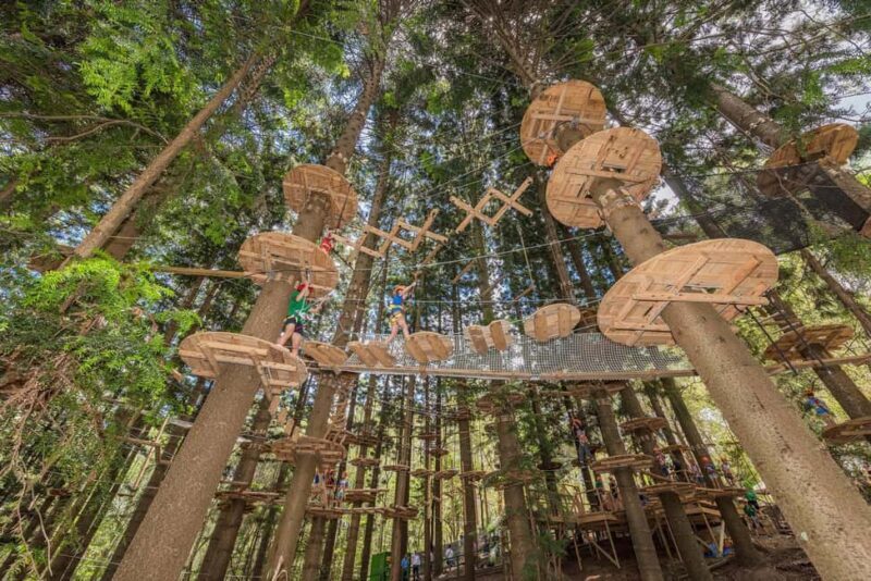 Pennant Hills: Tree Ropes Course Session - Key Points