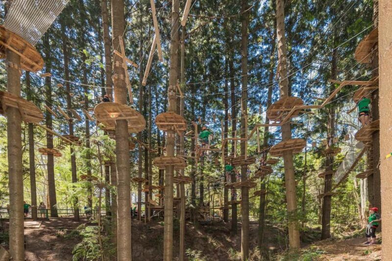 Pennant Hills: Tree Ropes Course Session - Benefits and Limitations