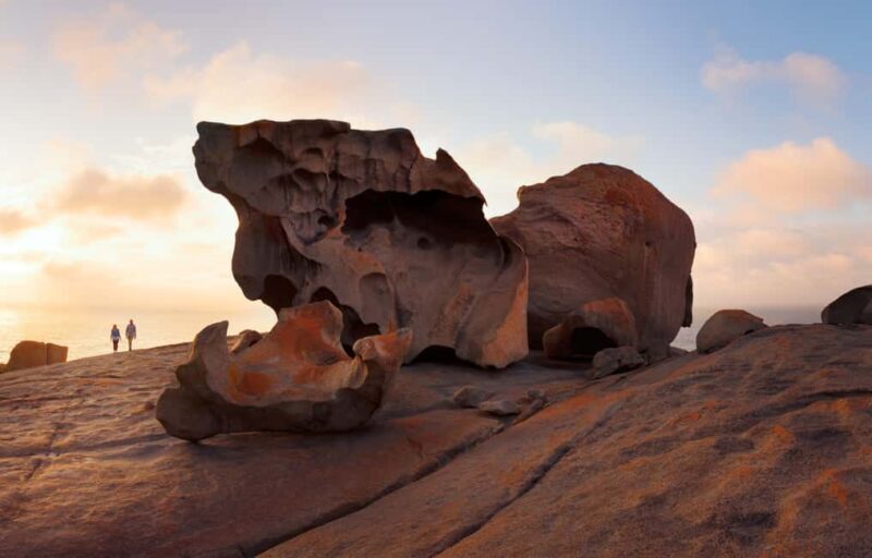 Penneshaw: Shore Excursion Kangaroo Island Scenic Tour - What Sets This Tour Apart?