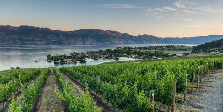 penticton-naramata-bench-full-day-guided-wine-tour