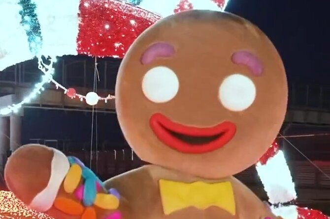 peppermint-parkway-christmas-lights-tour-austin
