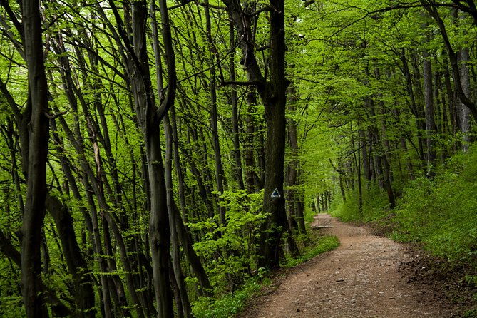 perfect-bike-tour-around-brasov