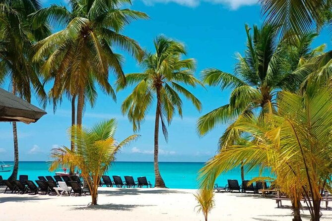 perfect-day-at-saona-island-by-speedboat-completely-private