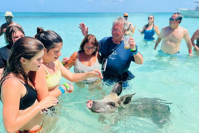 perfect-day-swimming-pigs-snorkel-lunch