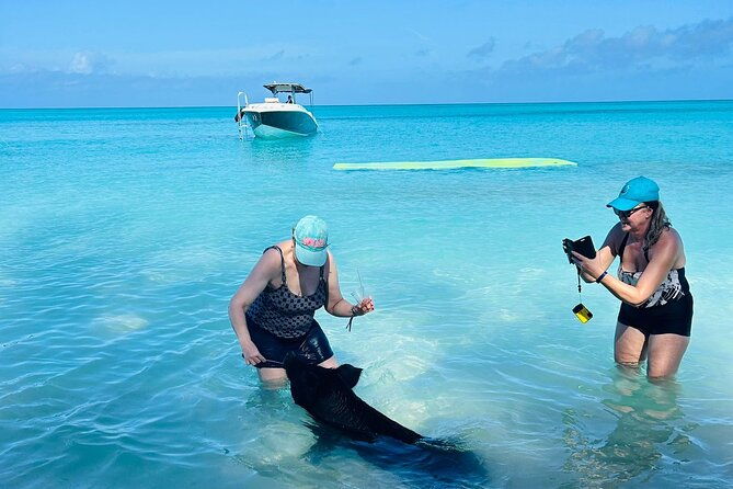 perfect-day-swimming-pigs-snorkel-lunch