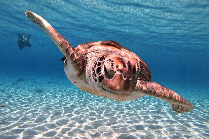 perfect-day-tour-small-group