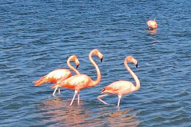 perfect-day-tour-small-group