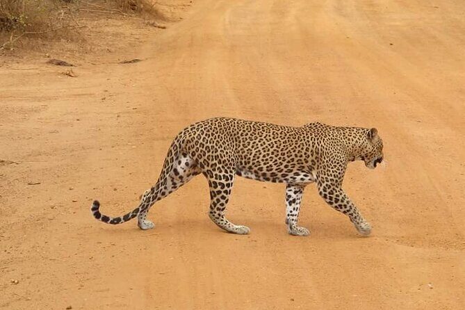 Perfect Holiday in Sri Lanka - Authentic Experiences & Local Hospitality