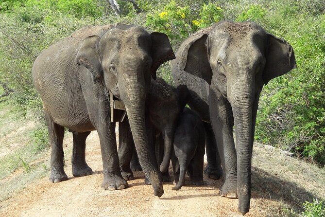 Perfect Holiday in Sri Lanka - The Sum Up