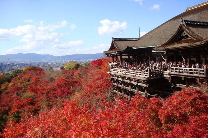 perfect-kyoto-1-day-bus-tour