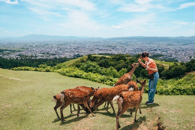 perfect-nara-park-half-day-bus-tour-with-english-speaking-guide